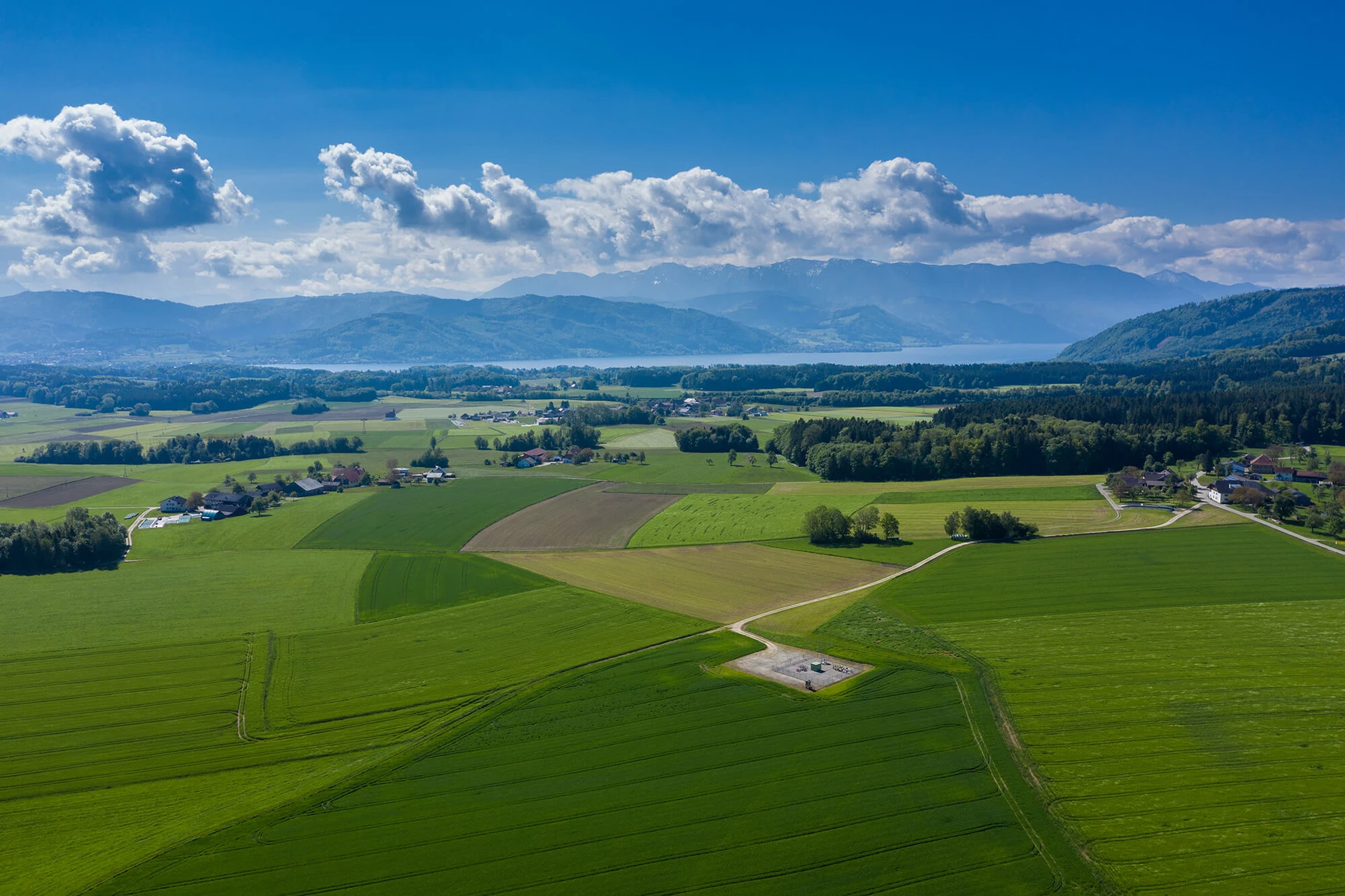 Green fields with blue sky